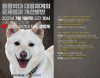 동물학대 대응체계 토론회 7월 1일 개최…경찰·감시원 설문 결과 공개
