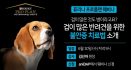 `겁 많은 반려견 위한 불안증 치료법` 30일 퓨리나 프로플랜 웨비나