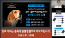 겁 많은 반려견 불안·공포증, 약물치료 적극 고려해야