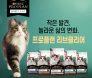 고양이 알러지로부터 해방! 퓨리나 프로플랜 `리브클리어` 동물병원 출시