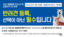제주도 반려견 동물등록률 44%…9월까지 동물등록 집중단속