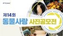 제14회 동물사랑 사진공모전 개최…8월 9일까지 접수