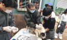 완주군 유기견 보호소 다시 찾은 전북수의사회 동물의료봉사단
