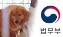 `동물은 물건이 아니다` 법무부 민법 개정 입법예고