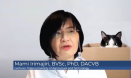 고양이 스트레스 줄이는 `높이·화장실·식사·놀이·이동장 교육`