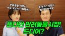 [위클리벳 256회] 반려동물 시장에 돈이 몰린다!