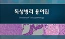 한국독성병리학회, 독성병리용어집 발간..국제 표준용어 반영