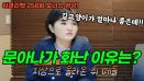 [위클리벳 보너스 영상] 길고양이가 얼마나 좋은데