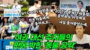 [위클리벳 260회] 이재명·이낙연, 판에 박힌 여권 대선주자들의 동물공약