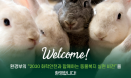 2030년까지 화학물질 시험분야 동물대체시험 비율 60%로 늘린다