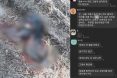 동물학대 처벌 들쑥날쑥 `고어전문방` 피의자에 집행유예