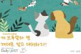 [카드뉴스] 개 브루셀라증, 제대로 알고 대처하자 : 프시케