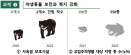 환경부 “동물원 허가제·사육곰 보호시설 설치·라쿤 등록제 추진”