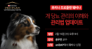 `개 당뇨 관리의 이해와 관리법` 16일 퓨리나 프로플랜 웨비나