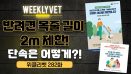 [위클리벳 282회] 반려견 목줄·가슴줄 길이 2m 제한 시행…단속은?