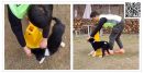 [신간] 슬기로운 어질리티 생활