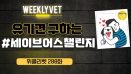 [위클리벳 288회] 유기견 구하는 #세이브어스챌린지