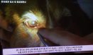 ‘반려견 눈검사는 이렇게’ 임상실기 54종 교육 동영상 만든다