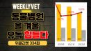 [위클리벳 334회] 코로나 특수 끝난 동물병원, 유독 힘들다