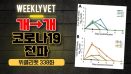 [위클리벳 338회] 개에서 개로 코로나19 전파 확인