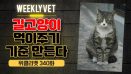 [위클리벳 340회] TNR 참여 병원 연1회 교육하고 중성화수술 기준 마련