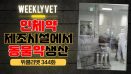 [위클리벳 344회] 인체약품 제조시설에서 반려동물약 생산 허용