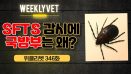 [위클리벳 346회] 반려동물↔사람 전파 SFTS, 2차 감염 감시