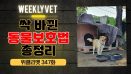 [위클리벳 347회] 싹 바뀐 동물보호법 총 정리