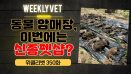 [위클리벳 350회] 개·고양이 암매장 사건, 이번에는 신종펫샵?