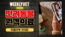 [위클리벳 355회] 반려동물 원격의료 어디까지 왔나