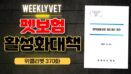 [위클리벳 370회] 정부가 발표한 펫보험활성화 대책 내용은?