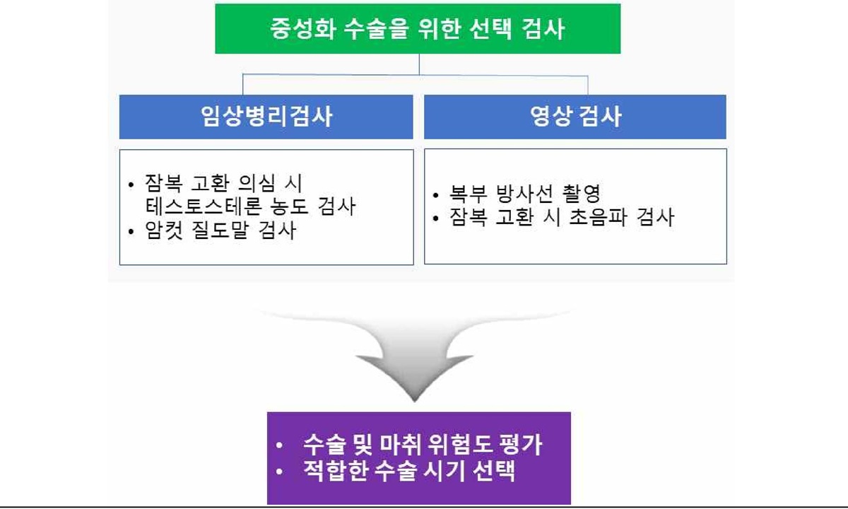 예방접종·중성화수술 등 20개 항목 표준진료절차 마련