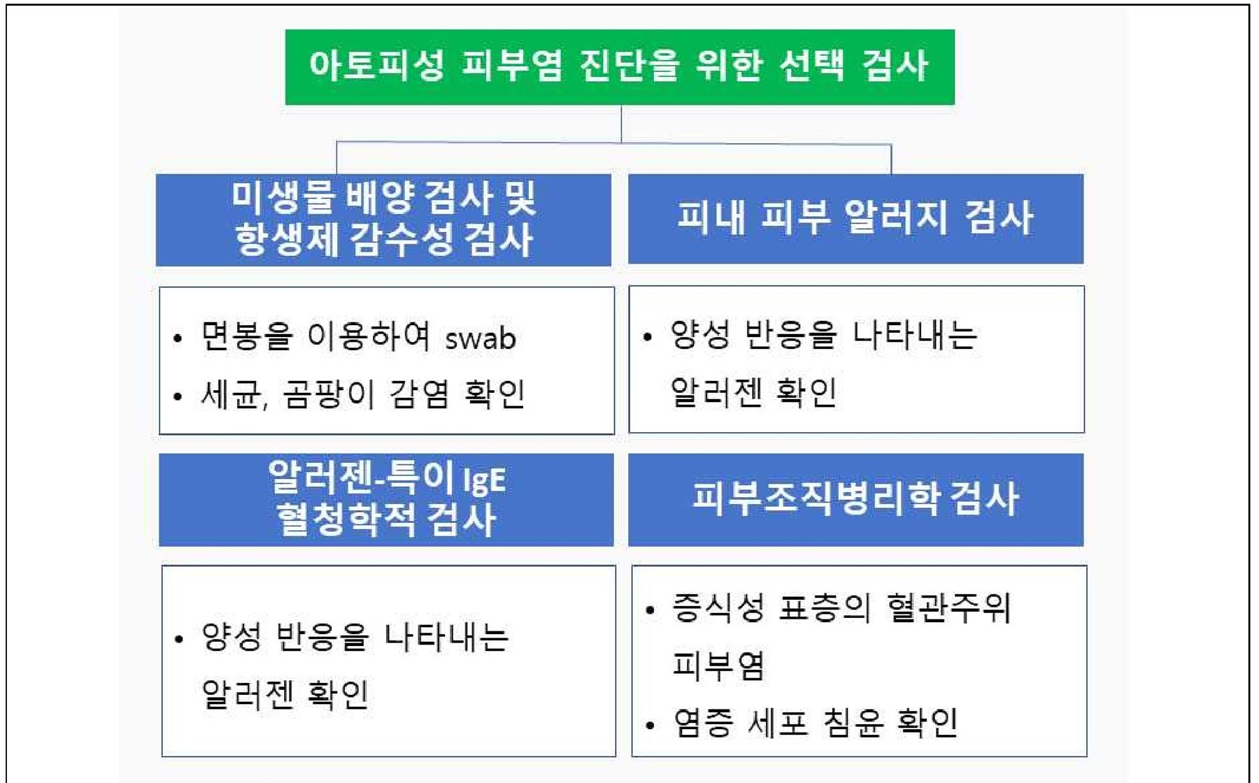 농식품부, 반려동물 표준 진료 절차 마련