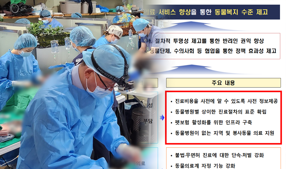 ‘5년마다 동물의료 육성발전 종합계획 수립·시행’ 개정 수의사법령 시행