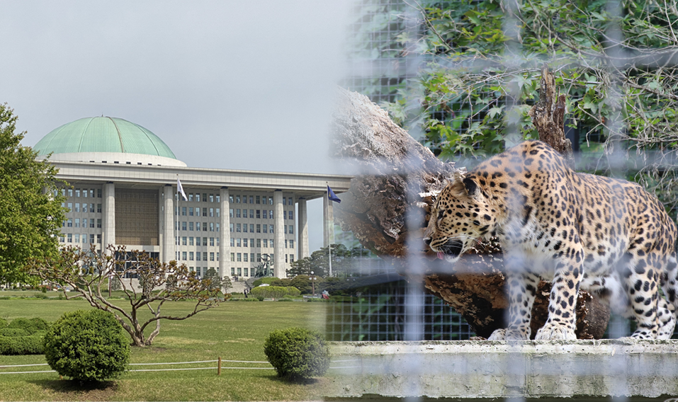 새 국회 첫 수의사법 개정안 ‘동물원수족관 상시고용 수의사에 자가진료 허용’