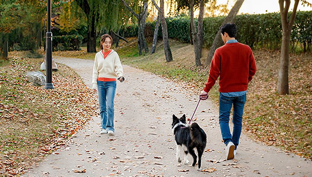 반려동물 키워드 78만개 분석하자..펫티켓 관심·요구·중요도 증가