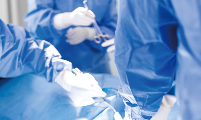 ISVPS 국제 소동물외과 인증 과정 런칭 ‘가장 인기 있는 과정’