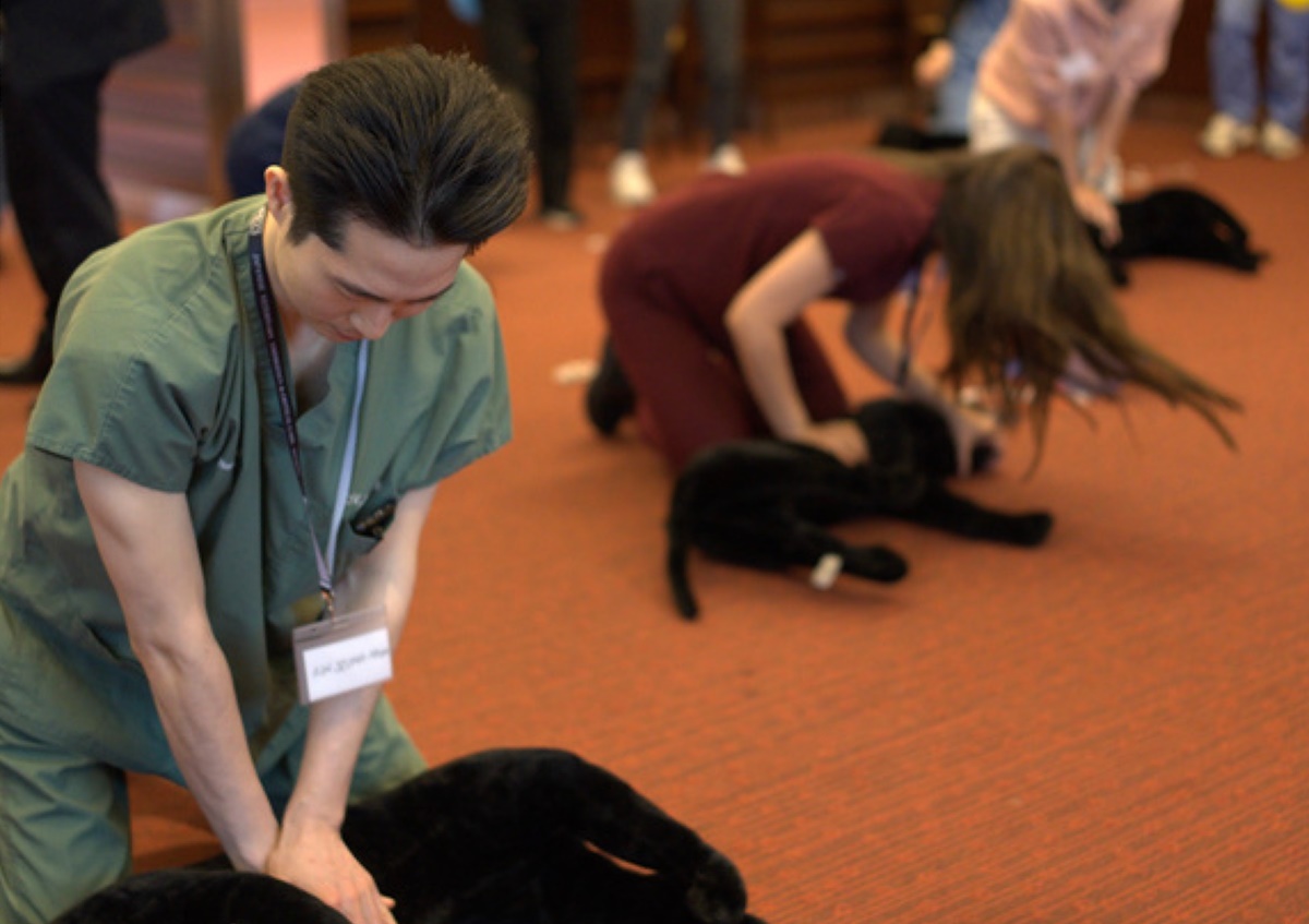 제2회 일본수의응급중환자과학회 JaVECCS 심포지엄, 내년 3월 개최