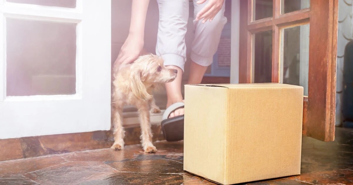 손님오면 짖는 강아지…어떻게 해야 할까요?