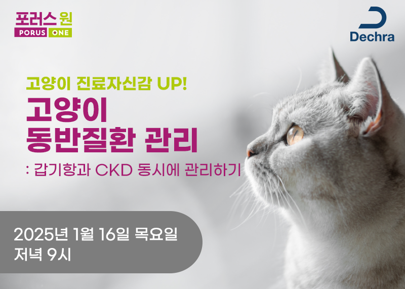 ‘고양이 갑상샘·신장 질환 동시에 관리하기’ 웨비나 1월 16일 개최