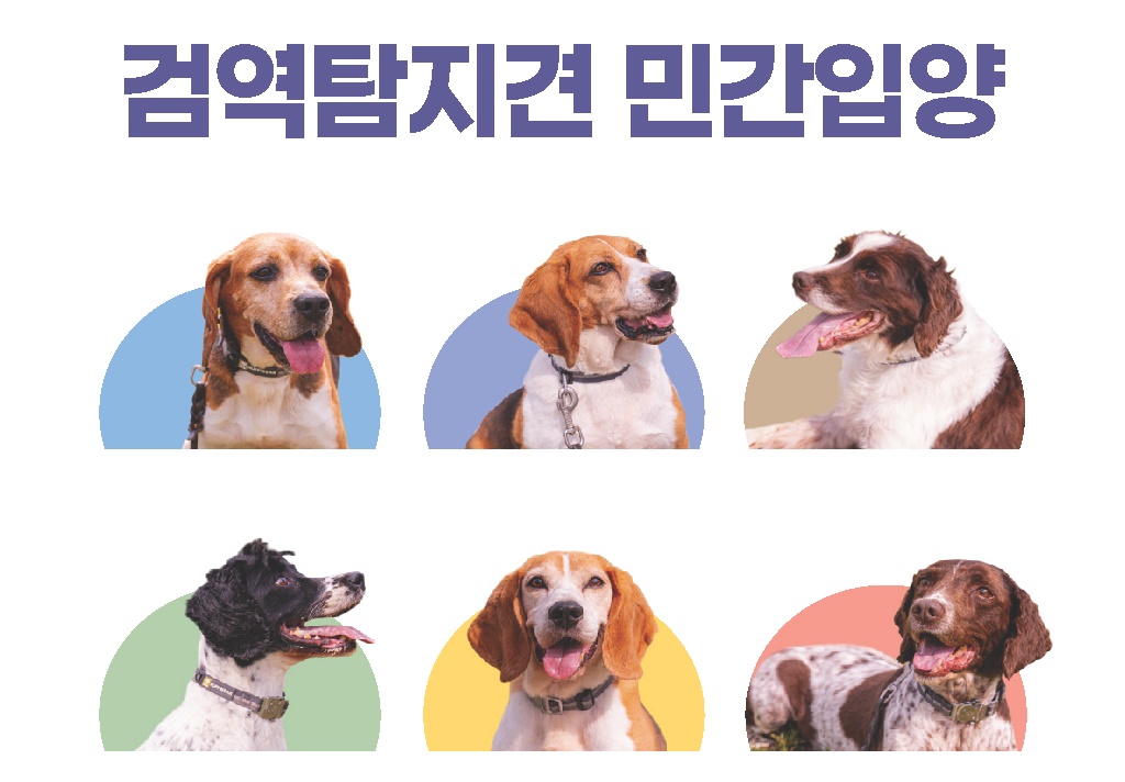 은퇴 검역탐지견과 함께할 가족을 찾습니다…1월 31일까지 입양 신청