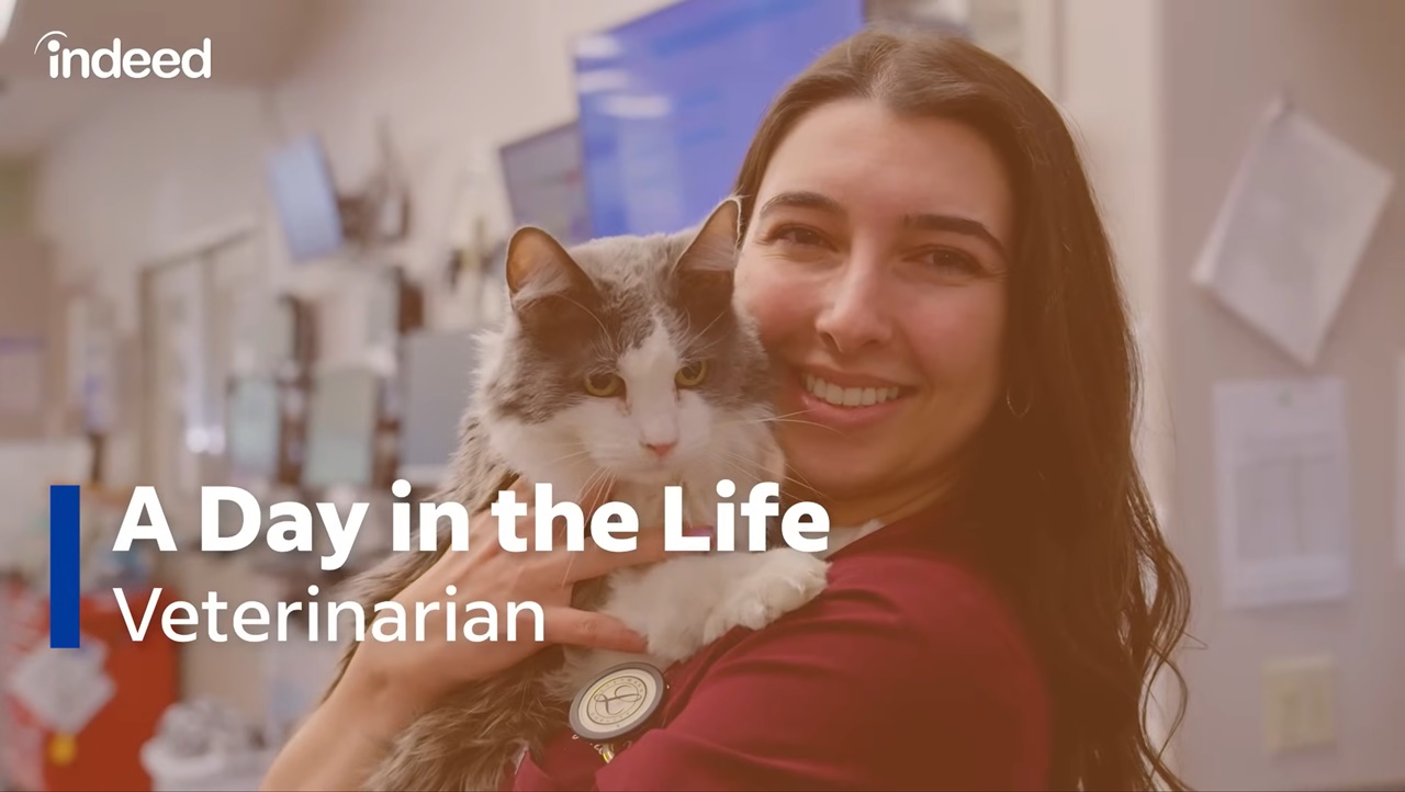 2025 미국 최고의 직업 1위는 수의사, 중위 연봉 2억원