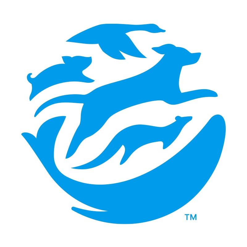 국제 동물보호단체 HSI의 새 이름 ‘휴메인 월드 포 애니멀즈’