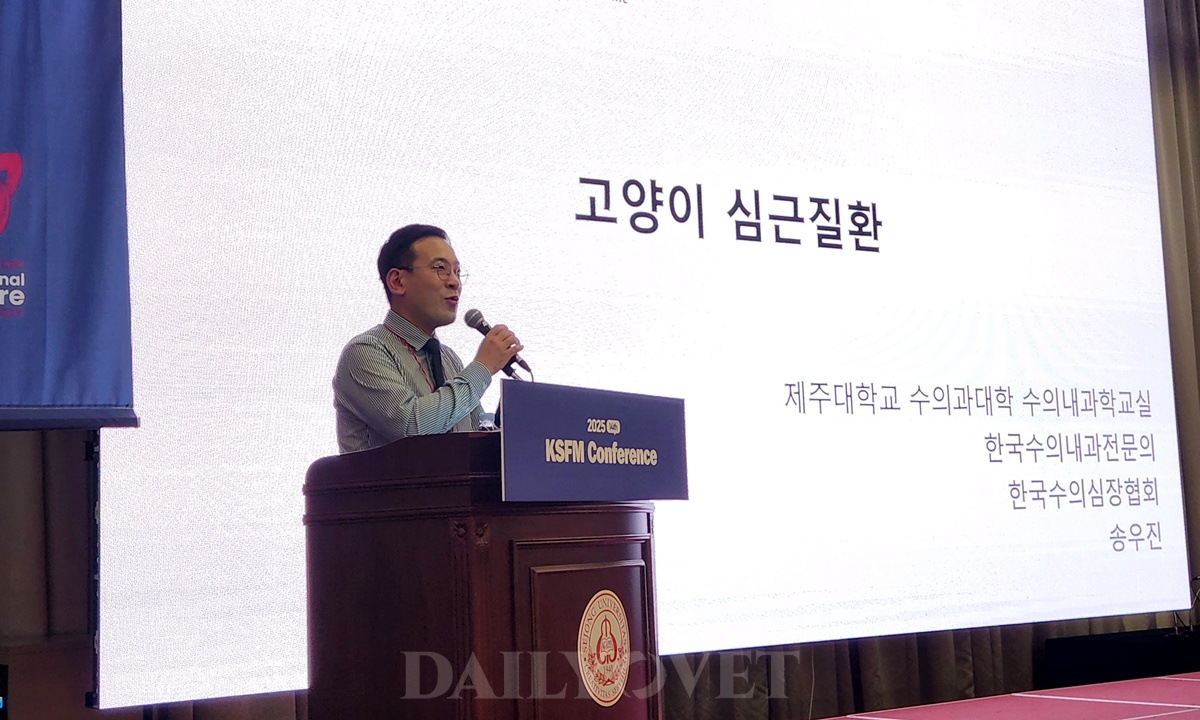 고양이 HCM, 진단부터 약물 처방·영양학적 관리 방법은?