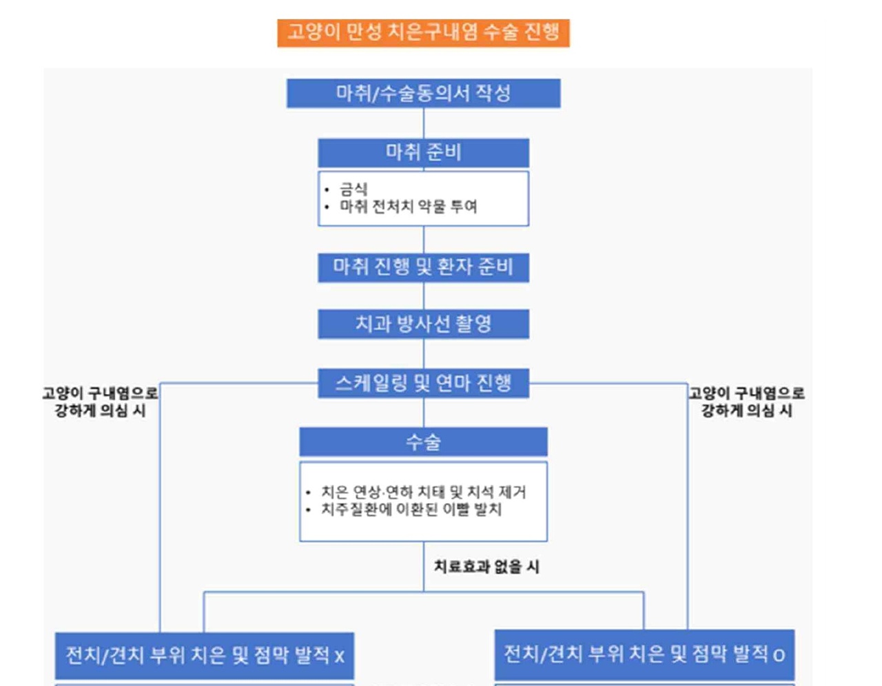 당뇨·PSS·고양이 구내염 등 동물진료 표준절차 40개 추가…총 100개 마련