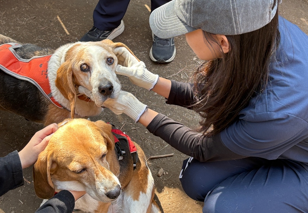 “실험동물에게 금요일을 선물해요”