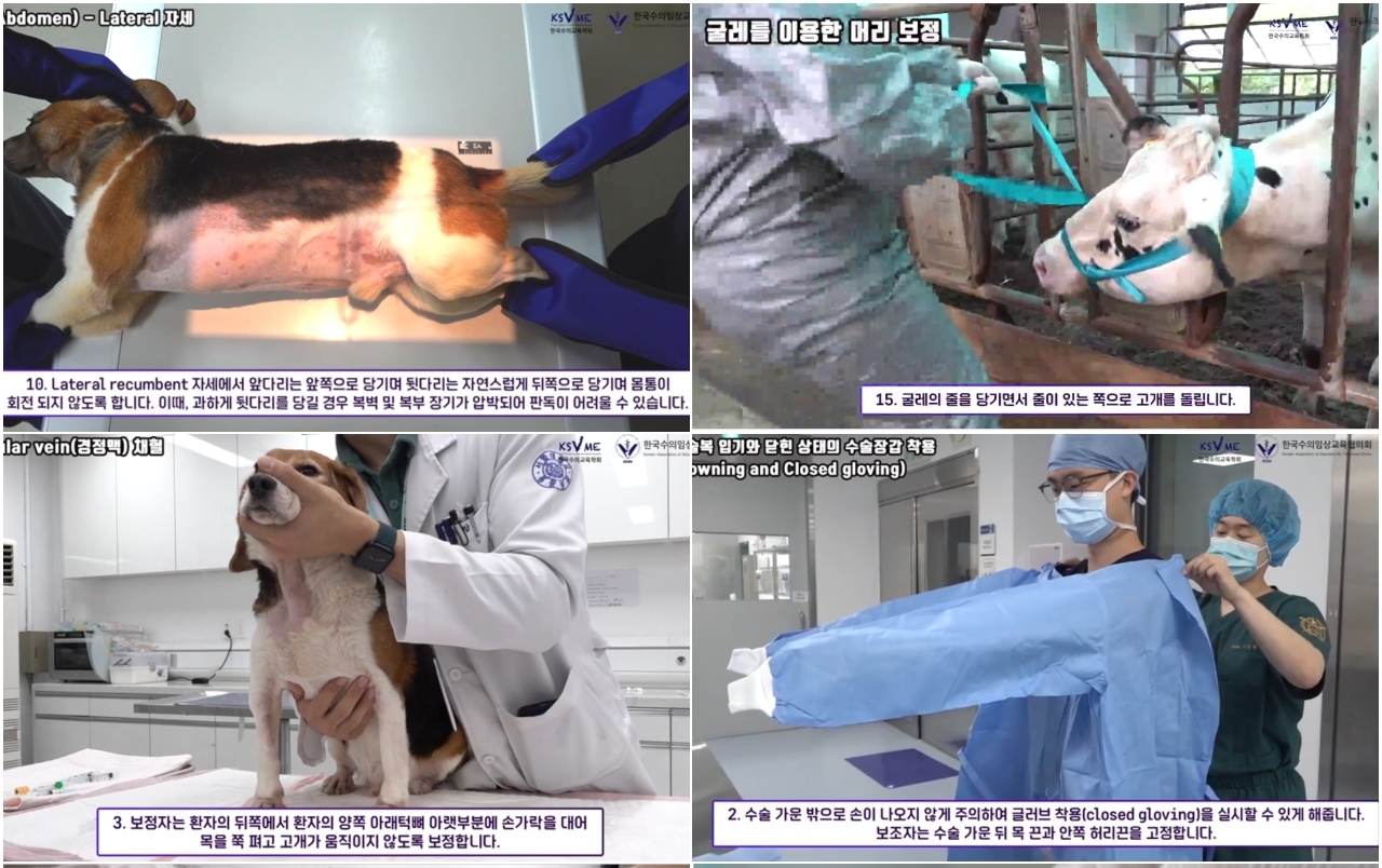 [신간] 기본수의임상실기지침 발간..임상실습 교육 표준화 기준 제시