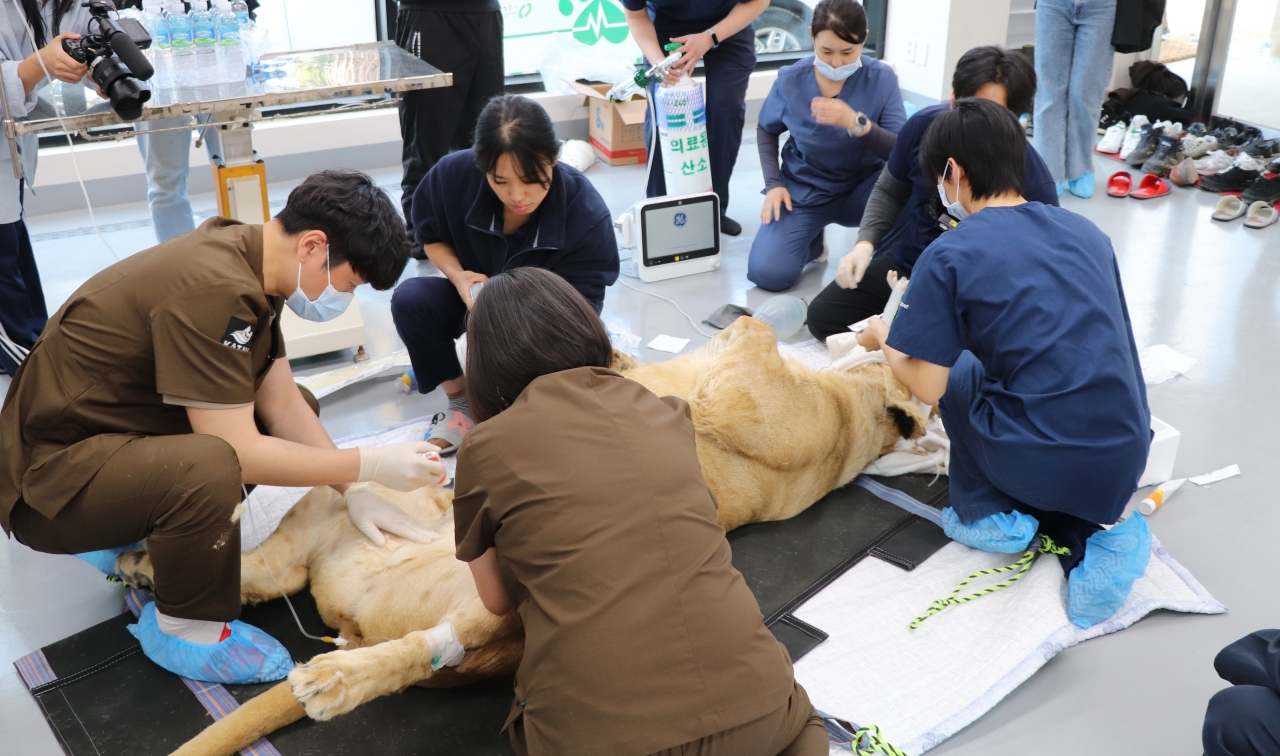 바람이·구름이 사자 부녀 합사 위해 전국 동물원 수의사들 모였다