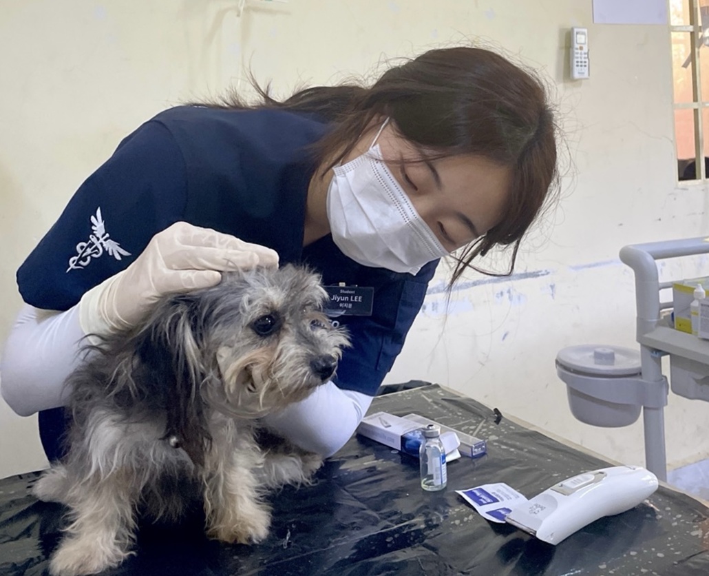 [NEO 제2기 해외동물의료봉사] 봉사를 넘어, 마음을 배우다 – 이지윤