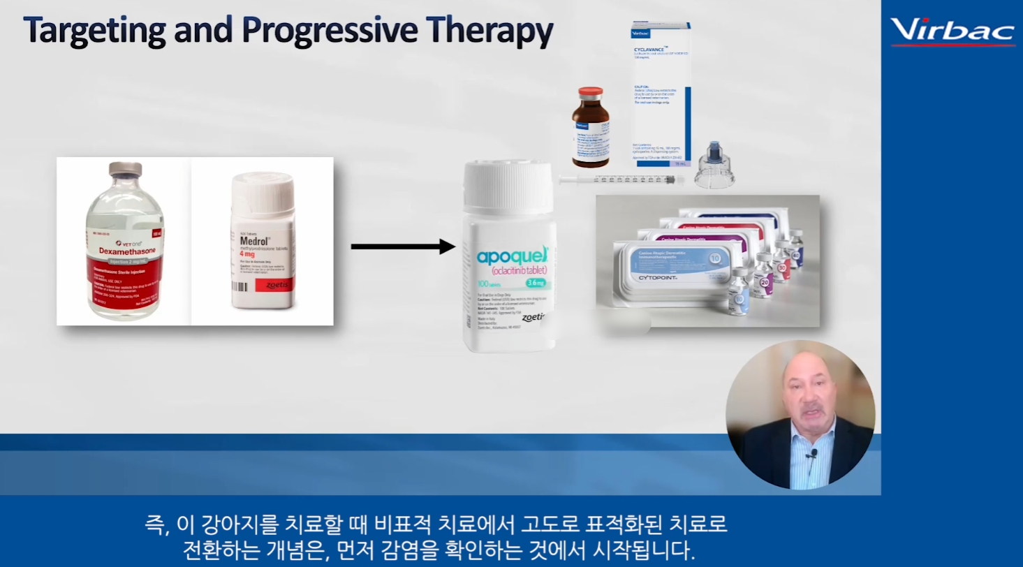 데일리벳 베팅